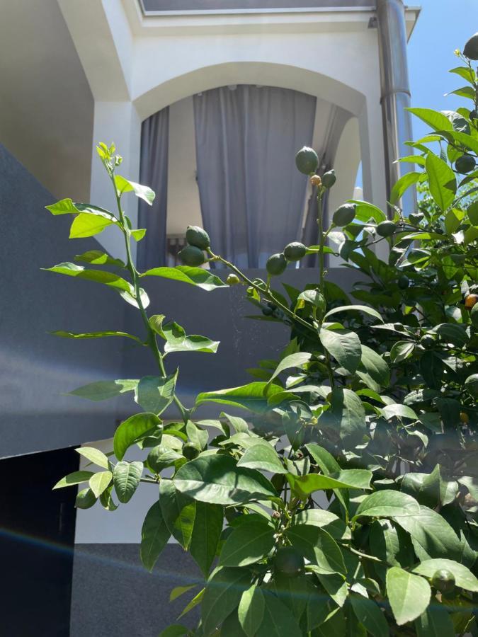 Mare Apartment Zadar Exterior foto